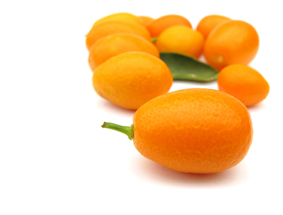 contact kumquat