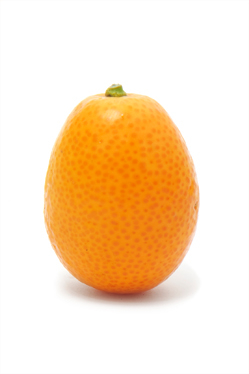 kumquat picture