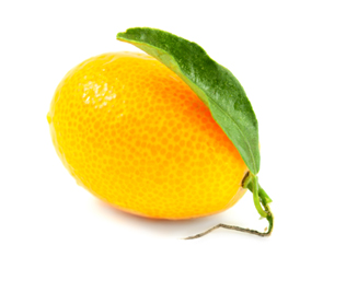 KumQuat with a Little Green Leaf